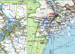 В Астраханской области составили карты дикорастущей конопли 