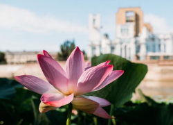 Астраханская область вошла в проект Росреестра «Земля для туризма»