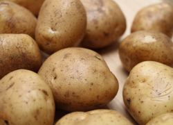 Астраханца «кинули» на 50 тонн картофеля