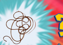 На астраханском пляже нашли «опасный» конский волос