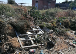 В Янго-Ауле около месяца не убирают крупногабаритные отходы