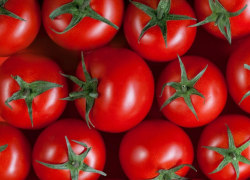 За два месяца в Астраханскую область завезли более 240 тонн томатов из южных стран