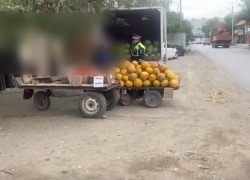 В Астрахани полицейские провели рейд по уличным торговцам-нарушителям
