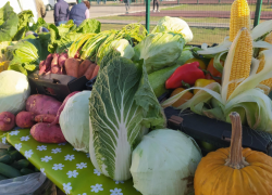 В День народного единства астраханцев зовут на сельхозярмарку
