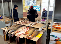 В Астрахани у уличных торговцев изъяли полтонны незаконной рыбы