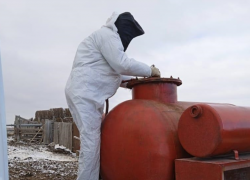 В Астрахани и пяти районах выявлены очаги опасных заболеваний