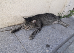 Погода, праздники, именины в понедельник 23 октября