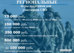 Астраханская облдума напомнила об актуальных мерах поддержки участников СВО