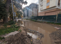Дети и пенсионеры роют траншеи чтобы спасти историческую усадьбу Чернозубовой от канализационного потопа