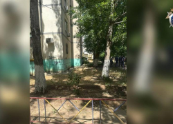 В Астрахани маленькая девочка выпала из окна вместе с москитной сеткой