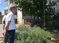 На помощь астраханцам, под окнами которых болото, пришли депутаты