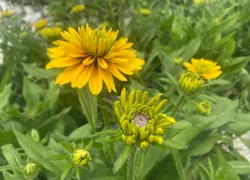 Прогноз погоды, именины, праздники в Астрахани в воскресенье 6 августа