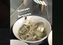 В Астрахани в гимназии №2 школьники заметили тараканов в столовой