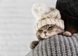 В Астраханской области не хватило градусов, чтобы побить температурный рекорд