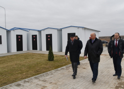 Собачий питомник в Астрахани откроют на следующей неделе