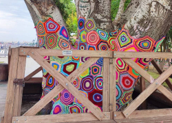 Сотрудники астраханской городской библиотеки преобразили тополь на набережной