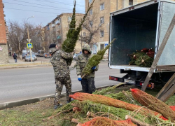 Астрахань засыпает, просыпаются торговцы незаконными ёлками
