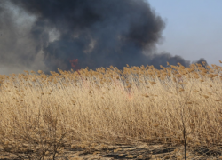 В Астрахани пожарные 40 раз тушили травяной пал за неделю