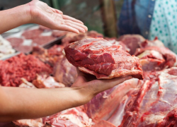 В Астрахани у Центрального стадиона состоится ярмарка