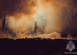 С начала года в Астраханской области случилось 790 загораний сухостоя и камыша