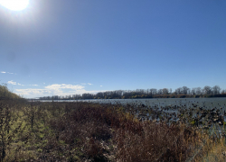 Погода, праздники, именины в воскресенье 12 ноября