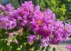 Прогноз погоды, именины, праздники в Астрахани в воскресенье 13 августа