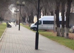 Маршрутчик проехался по аллее в Астрахани
