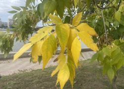 Погода, праздники, именины в воскресенье 17 сентября 