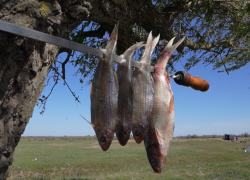 Прогноз погоды,  именины, праздники в Астрахани в четверг 20 апреля 