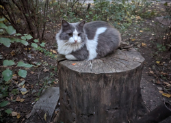 Погода, праздники, именины в среду 25 октября 