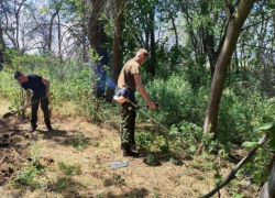 Астраханская полиция возбудила 49 дел о незаконном обороте наркотиков