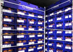 Крупную партию цитрусовых впервые доставили в Астрахань морским путем