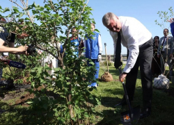 Губернатор Астраханской области посадил сирень у Дворца бракосочетания