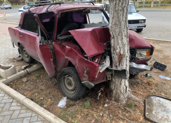 Пожилой астраханец врезался в дерево у администрации Трусовского района