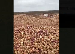 У астраханского села на жителей свалилась куча бесплатного лука