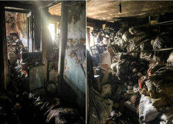 В Астраханской области проверят обстоятельства гибели троих человек на пожарах