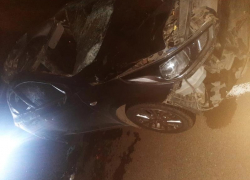 В ДТП под Астраханью погибло животное и пострадали двое мужчин