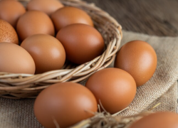 На астраханской птицефабрике бушует птичий грипп