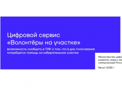 В Астрахани на выборах будут работать волонтеры: для чего они и как к ним обратиться