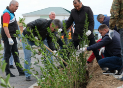 Астраханцы посадили 160 тысяч деревьев и кустарников в рамках акции "Сад памяти"