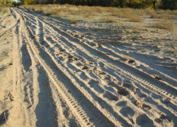 В Астраханской области в собственной машине утонул житель Ставрополя 