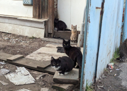 Погода, праздники, именины в среду 14 февраля 