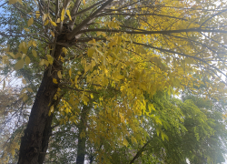 Погода, праздники, именины в пятницу 27 октября