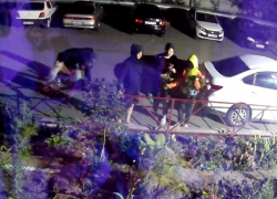 Ночные расхитители клумб и садов в Астрахани попали на видео