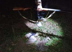 Под Астраханью охотник застрелил запрещенных к добыче птиц