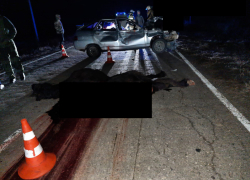 В Астрахани школьник на автомобиле врезался в лошадей и погиб на месте аварии