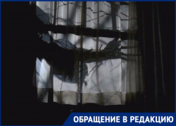 «Я не могу спать ночью» – пенсионерка с Трусовского района Астрахани жалуется на сухостой