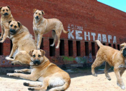 Опровержение