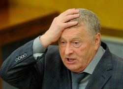 Владимира Жириновского "похоронили заживо"