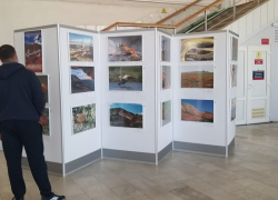 На астраханском вокзале открылась выставка «Заповедный мир»